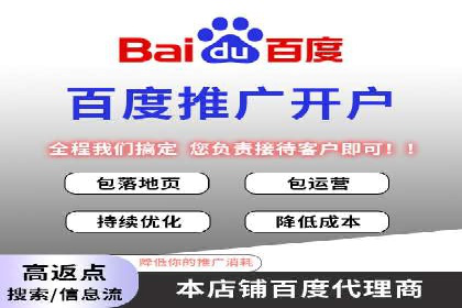 大型SEM服务公司案例分析